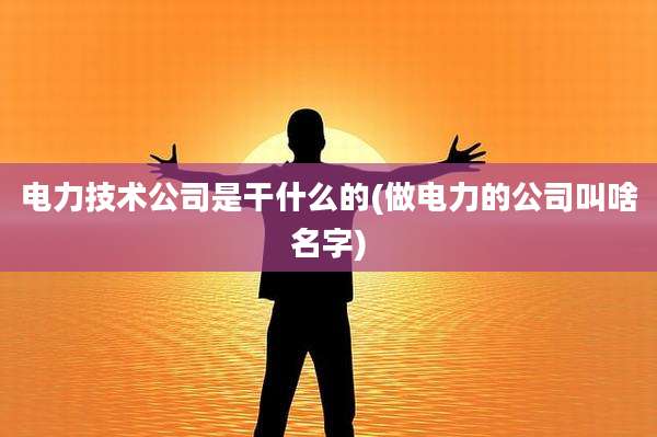 电力技术公司是干什么的(做电力的公司叫啥名字)
