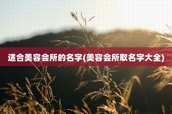 适合美容会所的名字(美容会所取名字大全)