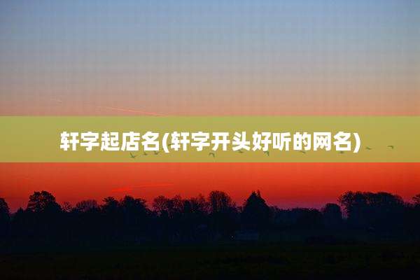 轩字起店名(轩字开头好听的网名)