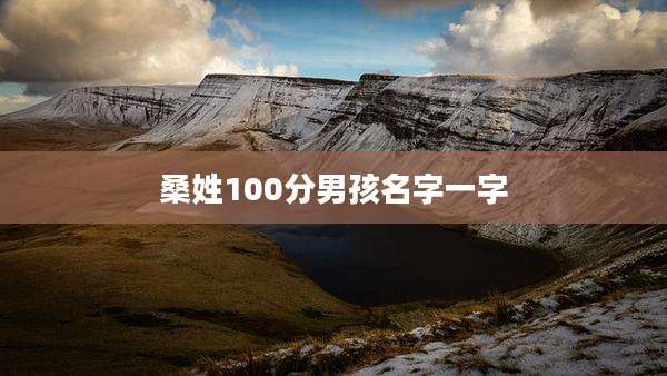 桑姓100分男孩名字一字
