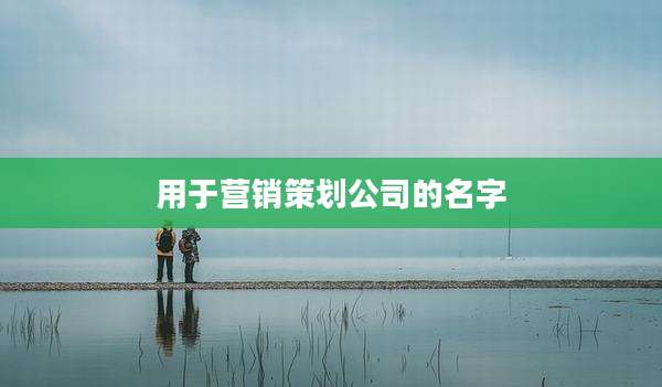 用于营销策划公司的名字