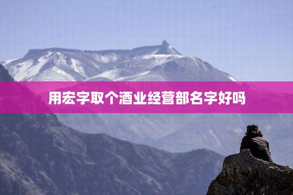 用宏字取个酒业经营部名字好吗