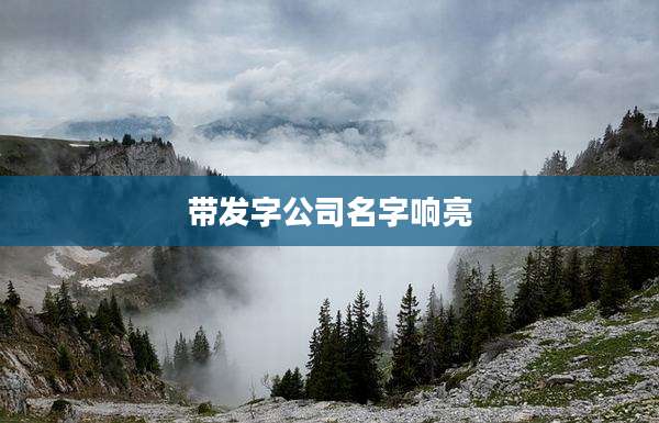 带发字公司名字响亮