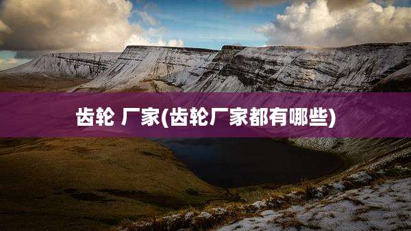 齿轮 厂家(齿轮厂家都有哪些)