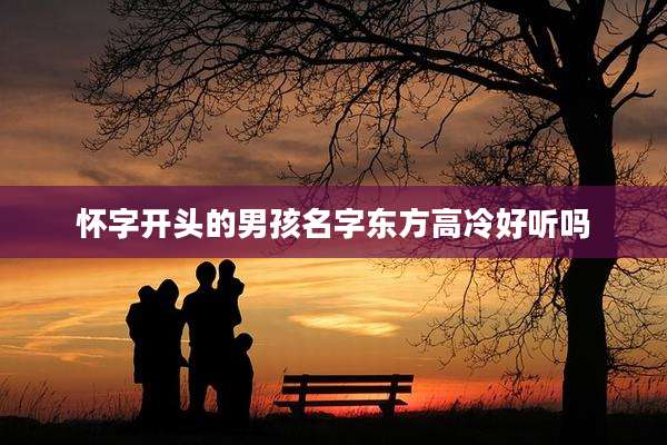 怀字开头的男孩名字东方高冷好听吗