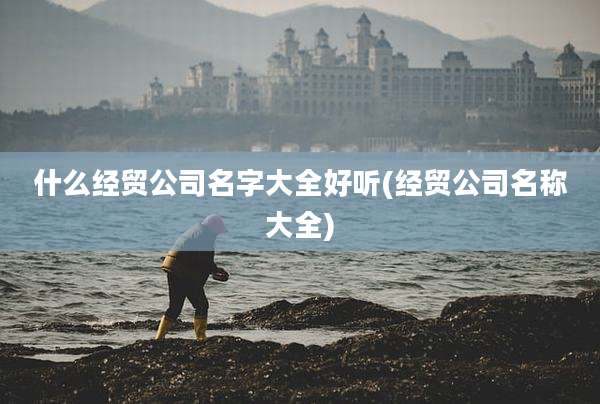 什么经贸公司名字大全好听(经贸公司名称大全)