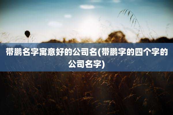 带鹏名字寓意好的公司名(带鹏字的四个字的公司名字)