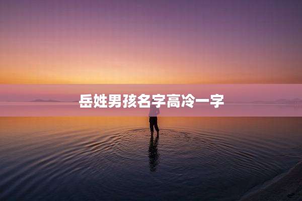 岳姓男孩名字高冷一字