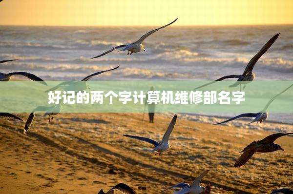 好记的两个字计算机维修部名字