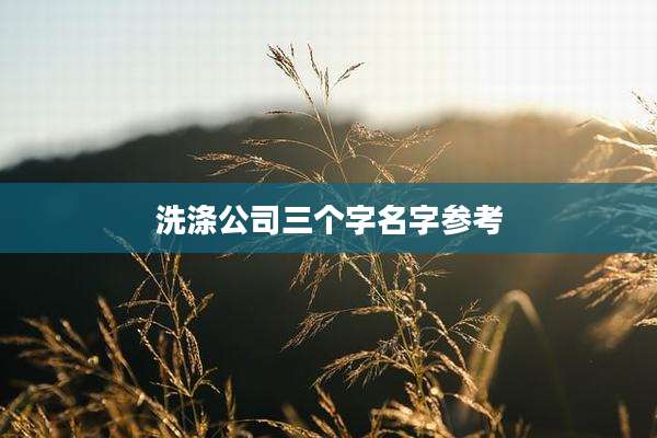 洗涤公司三个字名字参考