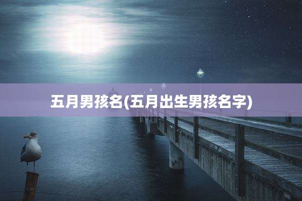 五月男孩名(五月出生男孩名字)