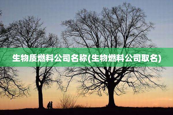 生物质燃料公司名称(生物燃料公司取名)