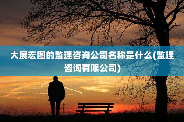 大展宏图的监理咨询公司名称是什么(监理咨询有限公司)