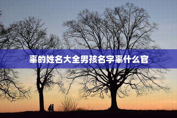 辜的姓名大全男孩名字辜什么官