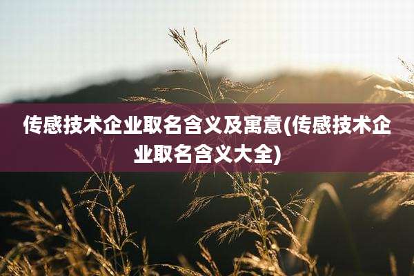 传感技术企业取名含义及寓意(传感技术企业取名含义大全)