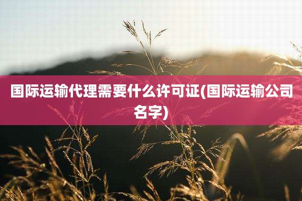 国际运输代理需要什么许可证(国际运输公司名字)