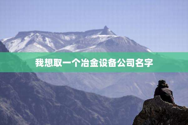 我想取一个冶金设备公司名字