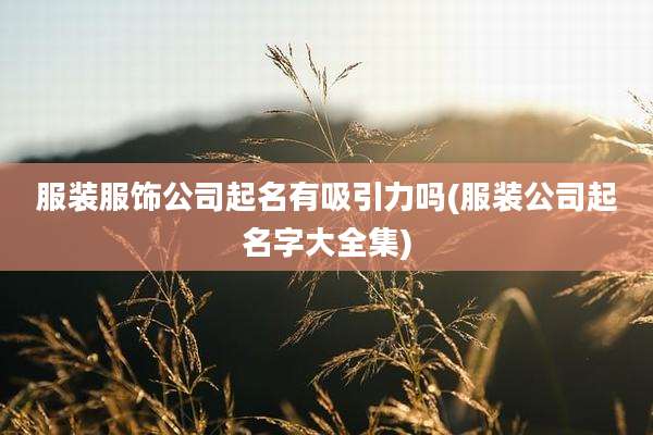 服装服饰公司起名有吸引力吗(服装公司起名字大全集)