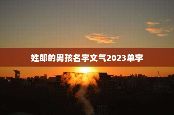 姓郎的男孩名字文气2023单字