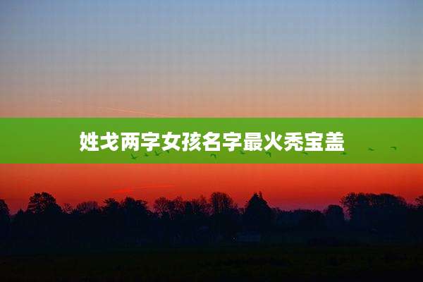 姓戈两字女孩名字最火秃宝盖