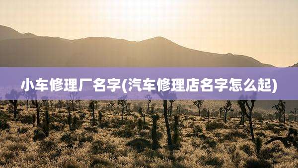 小车修理厂名字(汽车修理店名字怎么起)