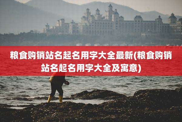 粮食购销站名起名用字大全最新(粮食购销站名起名用字大全及寓意)