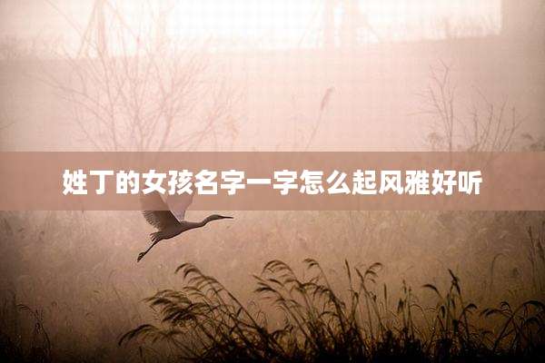 姓丁的女孩名字一字怎么起风雅好听