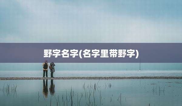 野字名字(名字里带野字)