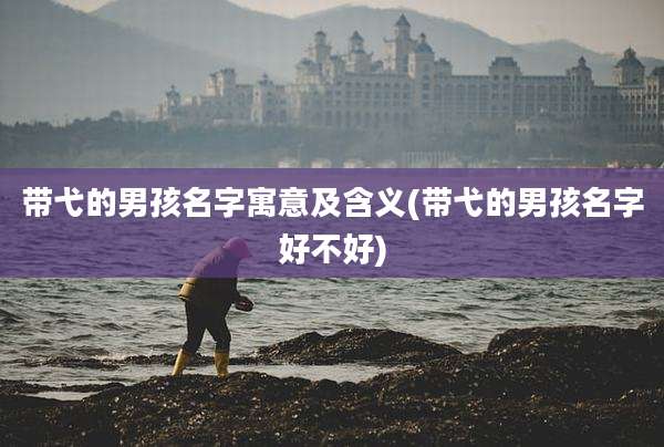 带弋的男孩名字寓意及含义(带弋的男孩名字好不好)