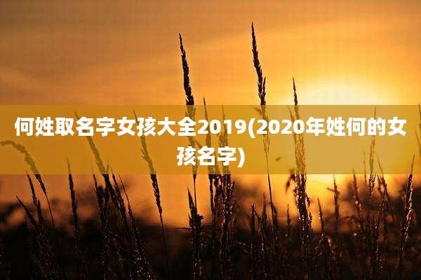 何姓取名字女孩大全2019(2020年姓何的女孩名字)
