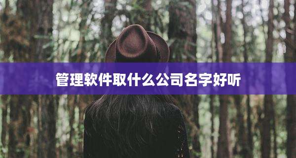管理软件取什么公司名字好听