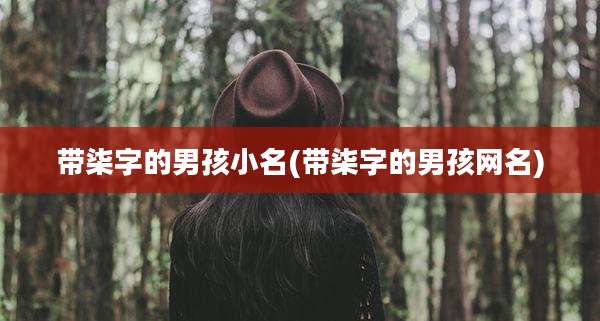 带柒字的男孩小名(带柒字的男孩网名)