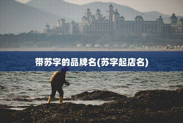 带苏字的品牌名(苏字起店名)