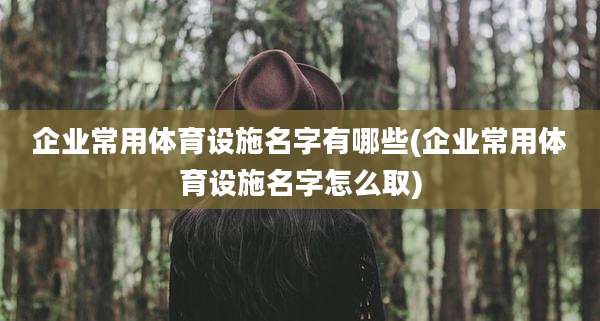 企业常用体育设施名字有哪些(企业常用体育设施名字怎么取)