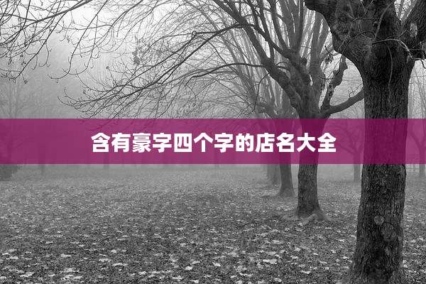 含有豪字四个字的店名大全