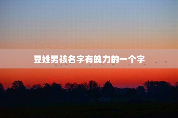 豆姓男孩名字有魄力的一个字