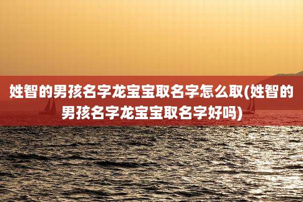 姓智的男孩名字龙宝宝取名字怎么取(姓智的男孩名字龙宝宝取名字好吗)