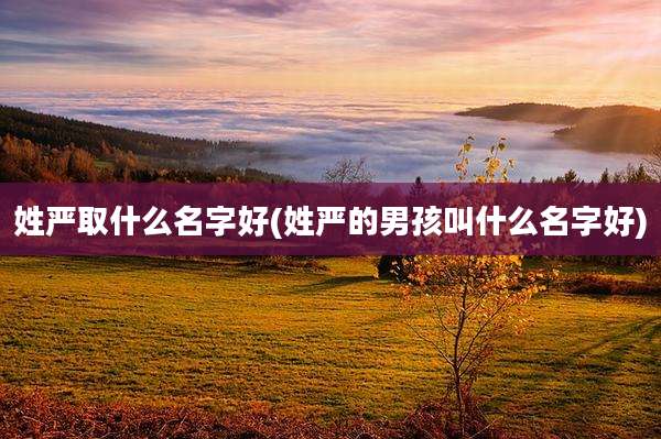 姓严取什么名字好(姓严的男孩叫什么名字好)