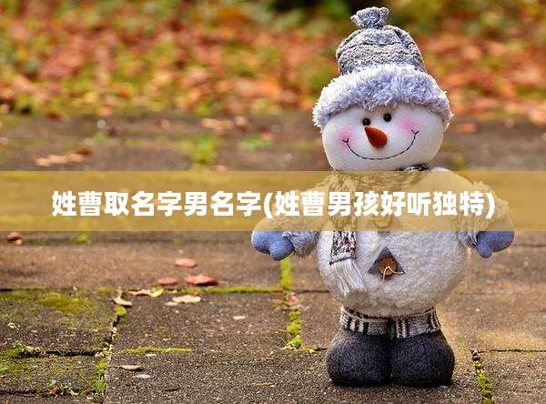 姓曹取名字男名字(姓曹男孩好听独特)