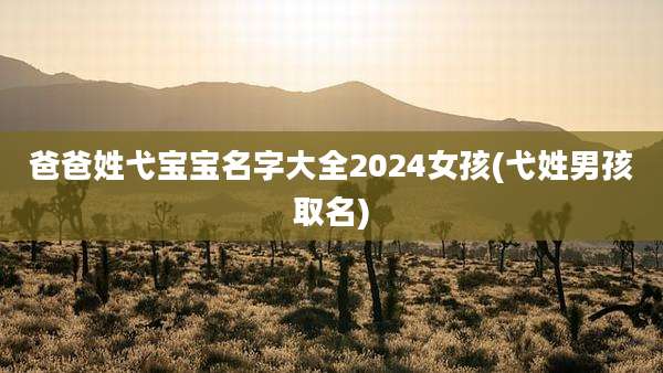 爸爸姓弋宝宝名字大全2024女孩(弋姓男孩取名)