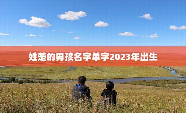 姓楚的男孩名字单字2023年出生