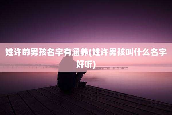 姓许的男孩名字有涵养(姓许男孩叫什么名字好听)