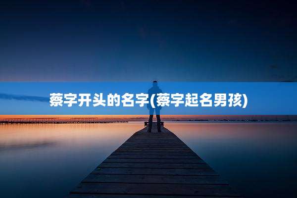 蔡字开头的名字(蔡字起名男孩)