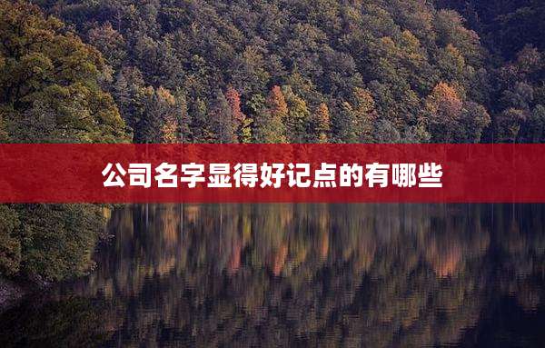 公司名字显得好记点的有哪些