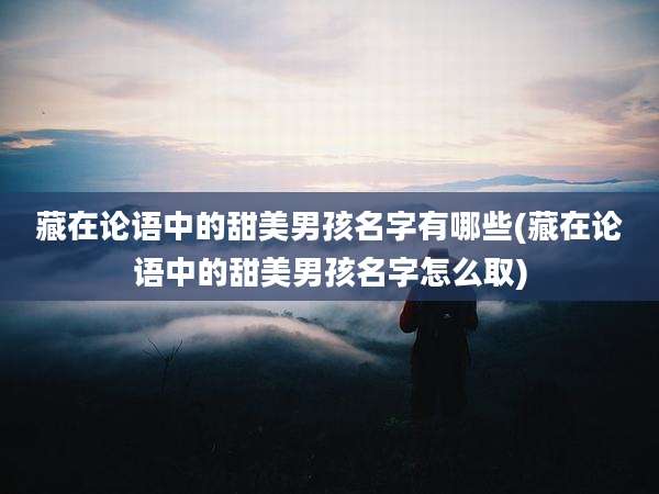 藏在论语中的甜美男孩名字有哪些(藏在论语中的甜美男孩名字怎么取)