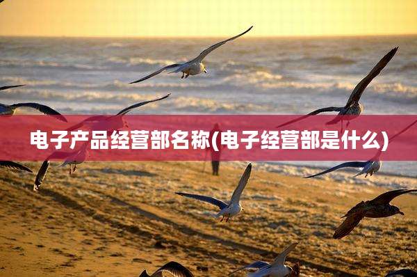 电子产品经营部名称(电子经营部是什么)