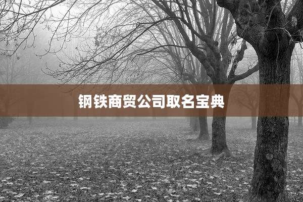 钢铁商贸公司取名宝典