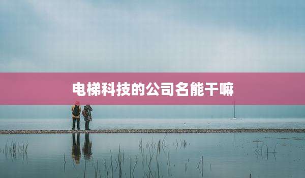 电梯科技的公司名能干嘛