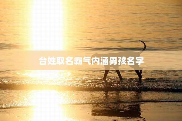 台姓取名霸气内涵男孩名字