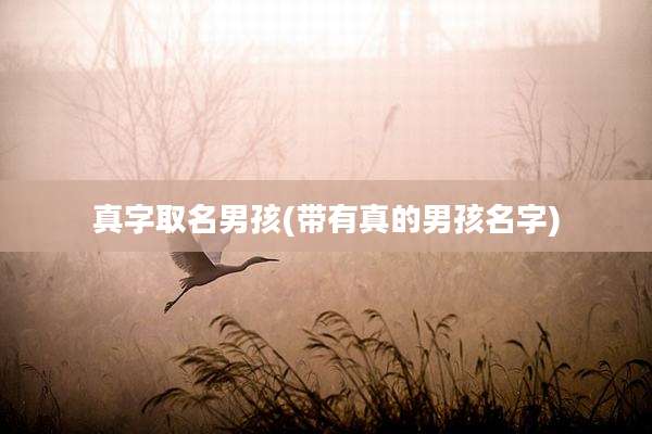 真字取名男孩(带有真的男孩名字)